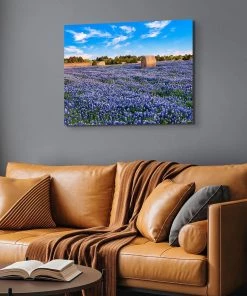 David Chalker Bluebonnet Hay Bails - 18"W X 24"H