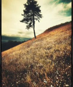 LeftBank Art Abstract Art Ainda Aqui