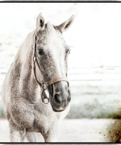 LeftBank Art Brilliance II