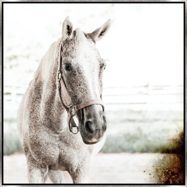 LeftBank Art Brilliance II 1 LeftBank Art Brilliance II