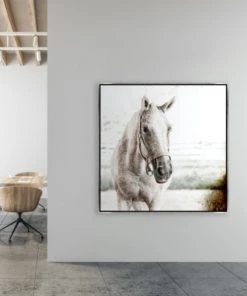 LeftBank Art Brilliance II