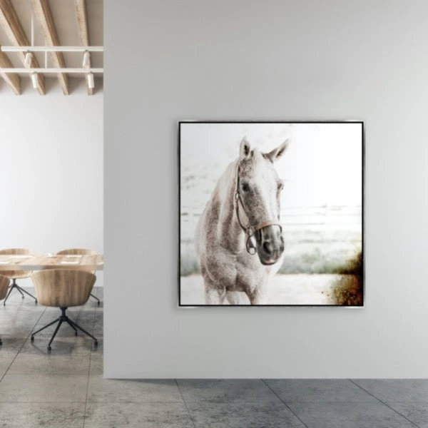 LeftBank Art Brilliance II 2 LeftBank Art Brilliance II