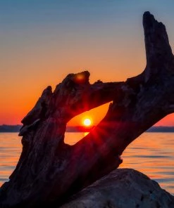 David Chalker Driftwood Sunrise - 40"W X 30"H Original Art