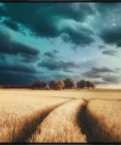 LeftBank Art Color Your Mood Abstract Art