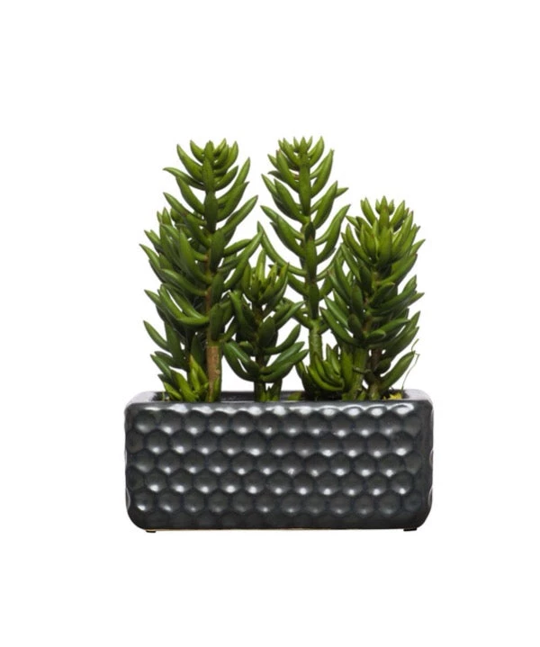 Lux Art Silks Accessories Succulent In Small Honeycomb Planter 1 Lux Art Silks Accessories Succulent In Small Honeycomb Planter